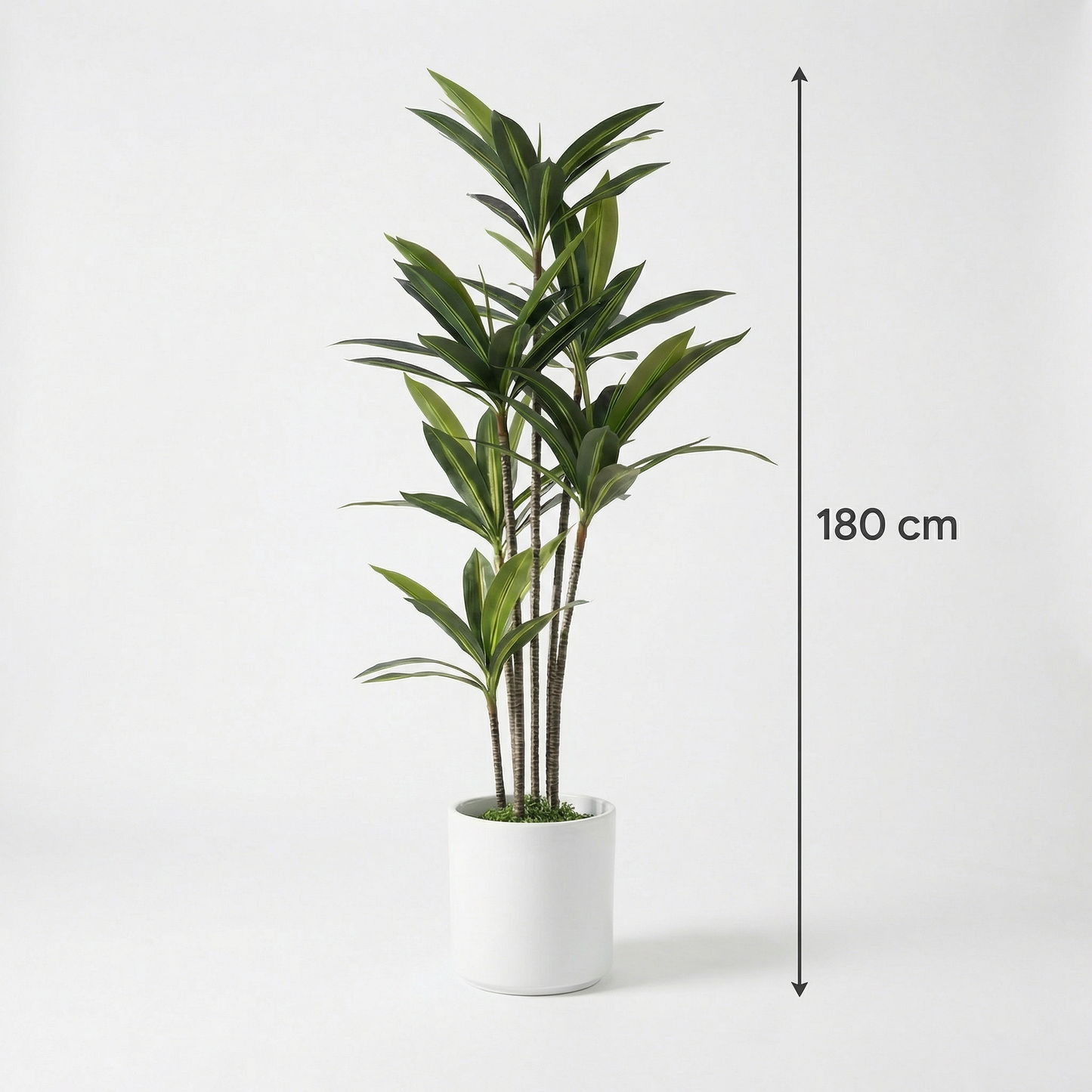 Kunstmatige Yucca Dracaena 180 cm