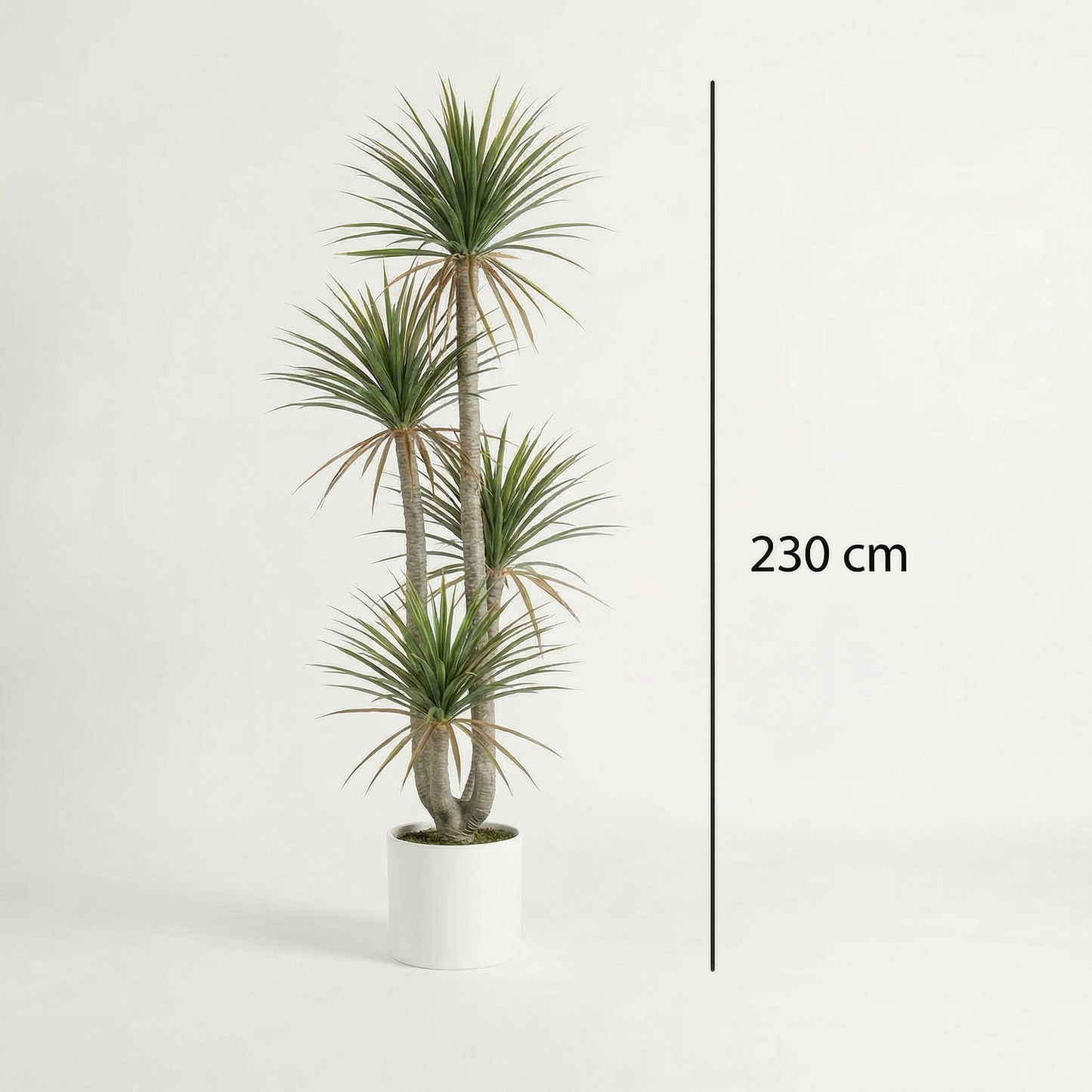 Kunstmatige Dracaena Marginata 160–230 cm
