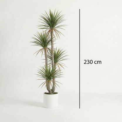 Kunstmatige Dracaena Marginata 160–230 cm
