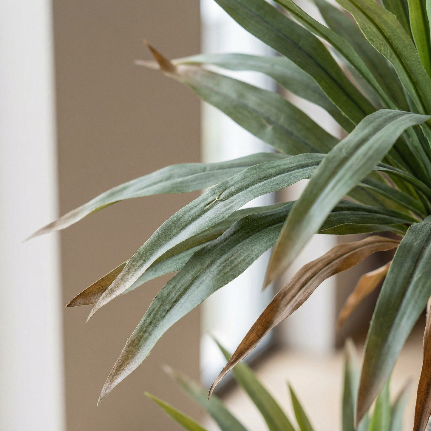 Kunstmatige Dracaena Marginata 160–230 cm