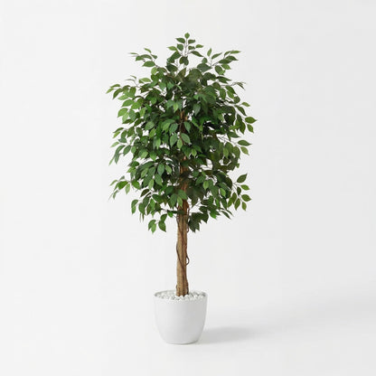 Kunstmatige Ficus Nitida 180 cm