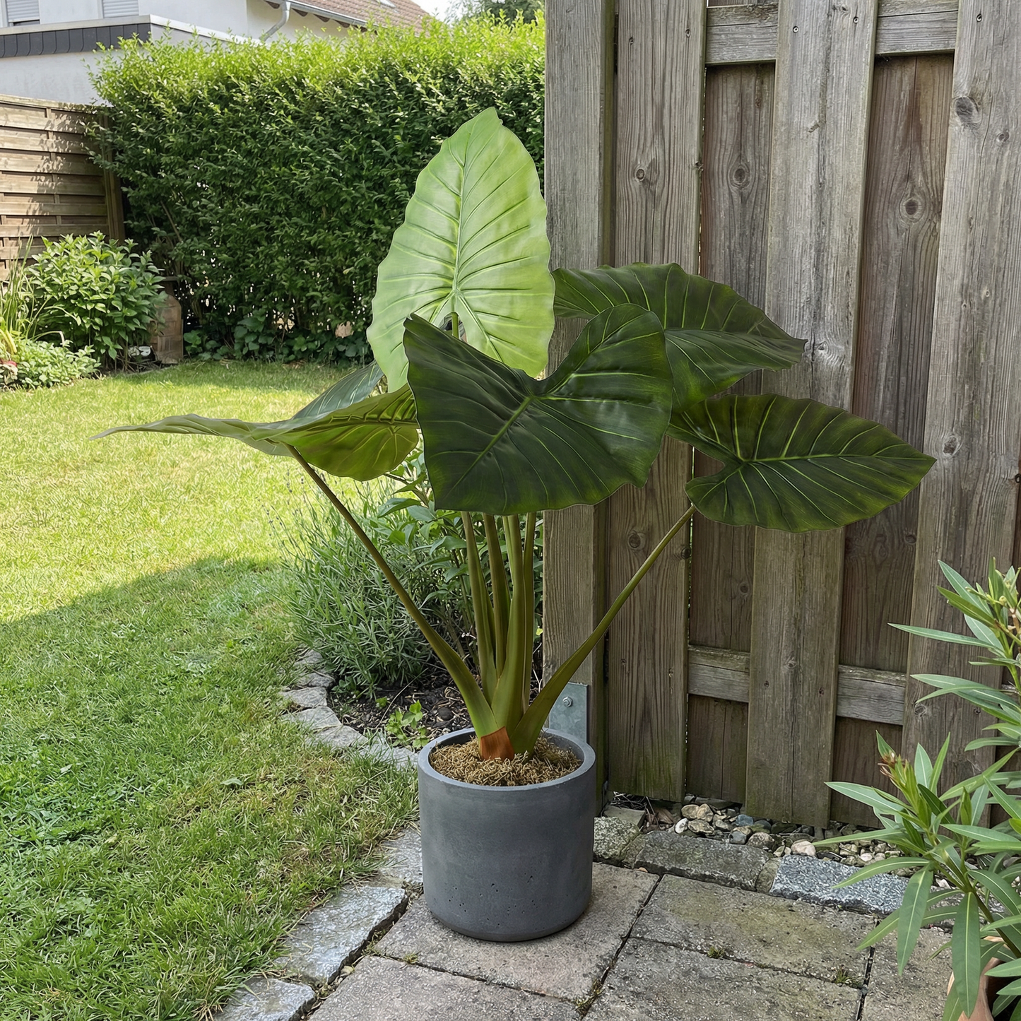 Kunstmatige Alocasia 90 cm