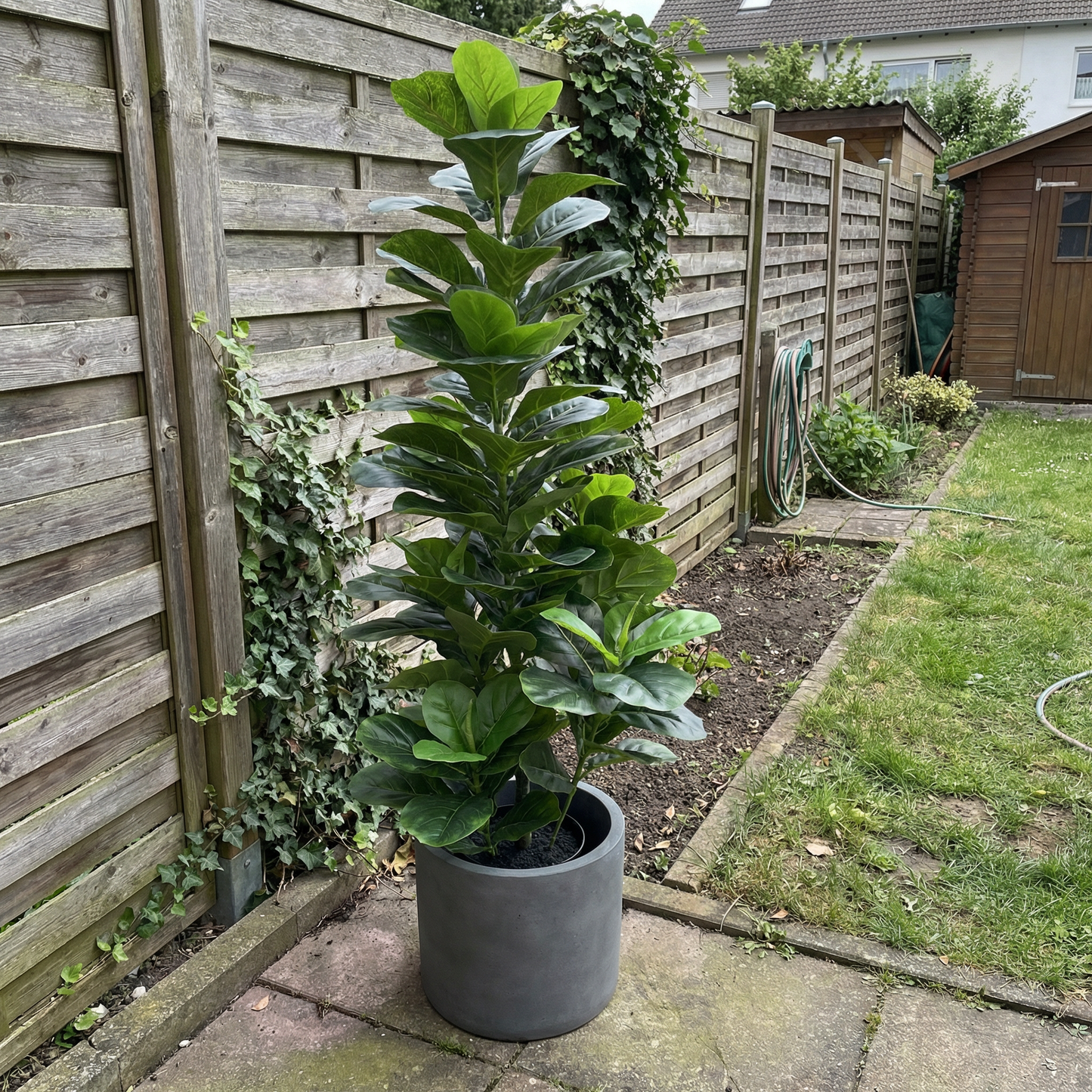 Kunstige Stængler Ficus lyrata 120–170 cm