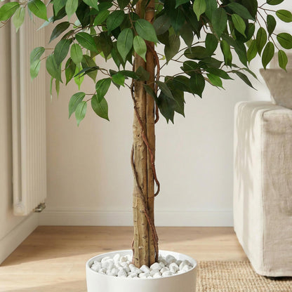 Kunstmatige Ficus Nitida 180 cm