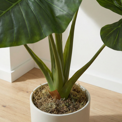 Kunstmatige Alocasia 90 cm
