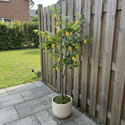 Kunstigt Citrontræ 150–180 cm