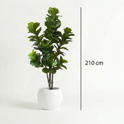 Kunstig Ficus lyrata 150–210 cm