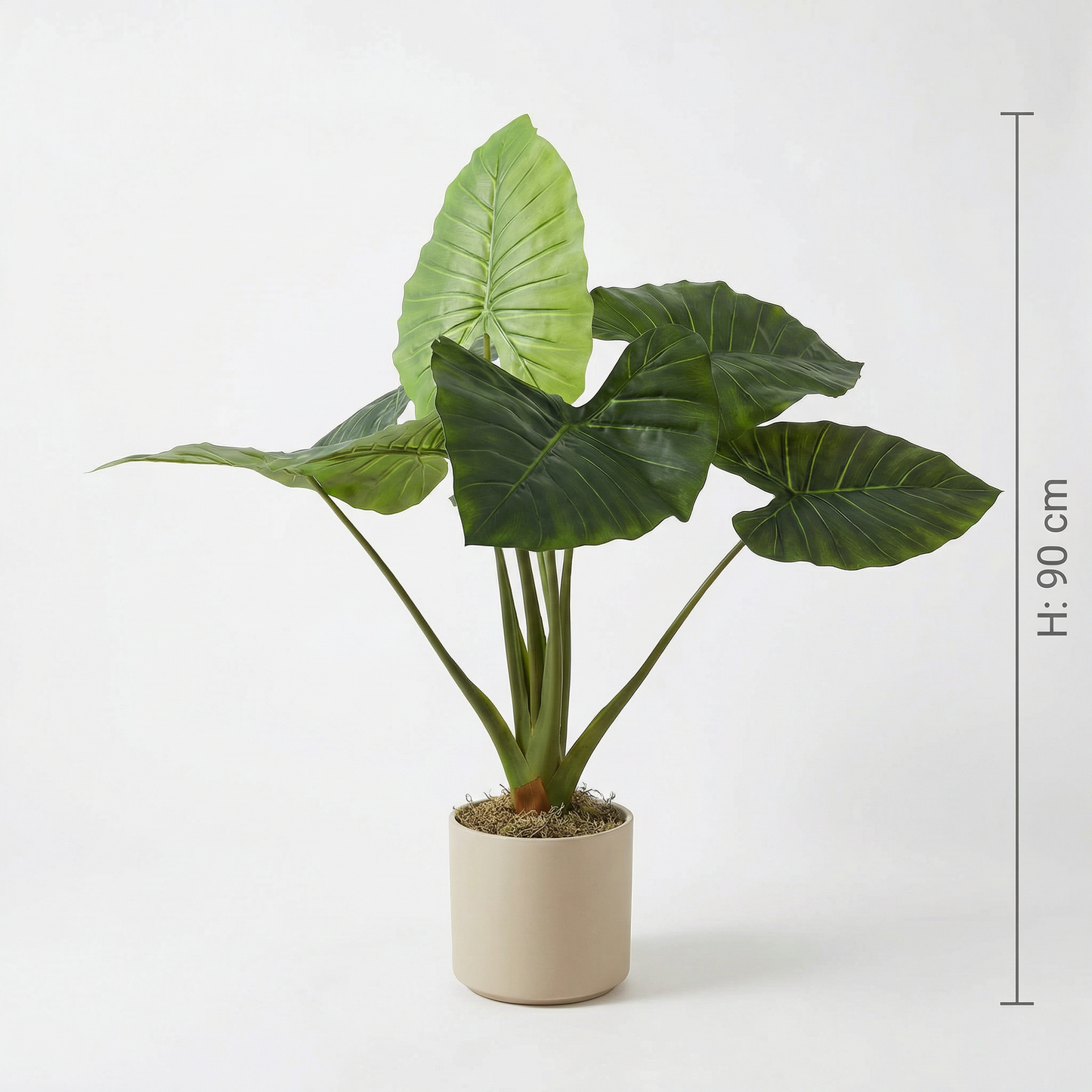 Kunstmatige Alocasia 90 cm