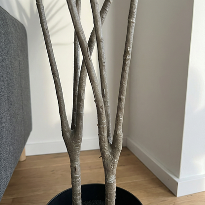 Kunstmatige stelen Dracaena Marginata 120 cm