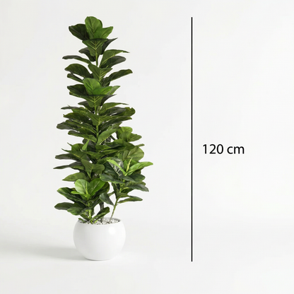 Kunstige Stængler Ficus lyrata 120–170 cm