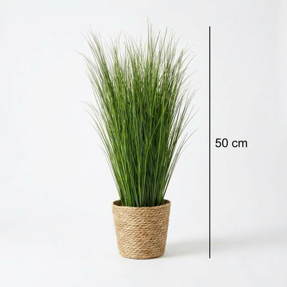 kunstmatige rietgrasstelen 50 cm (10 stuks)