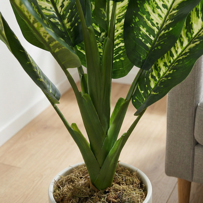 Kunstmatige Dieffenbachia 90 cm