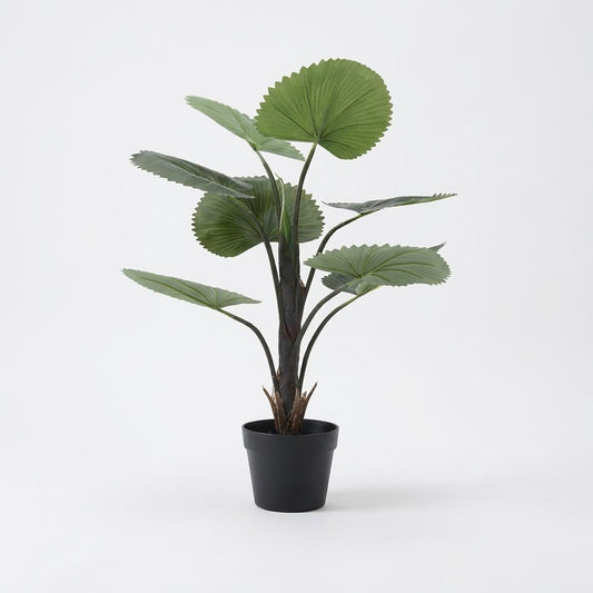 Kunstig viftepalme 75 cm
