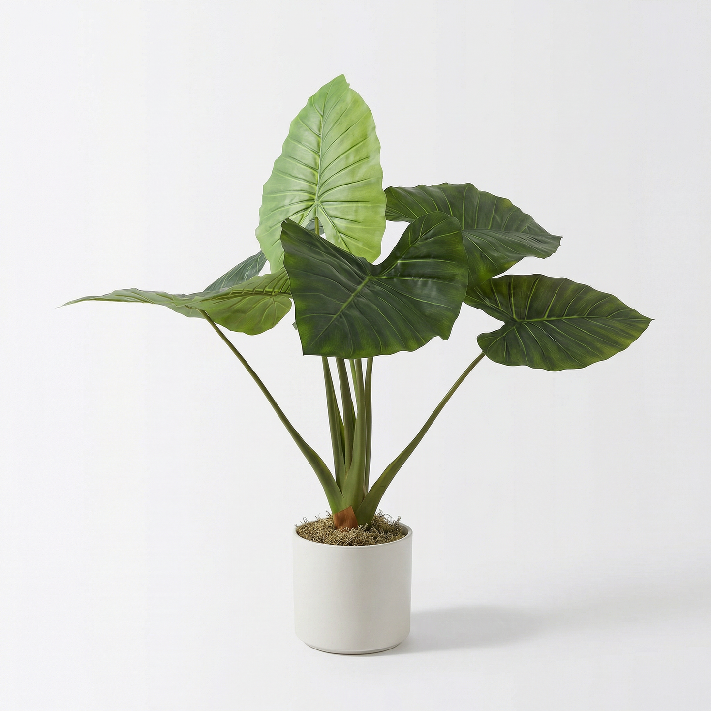 Kunstmatige Alocasia 90 cm