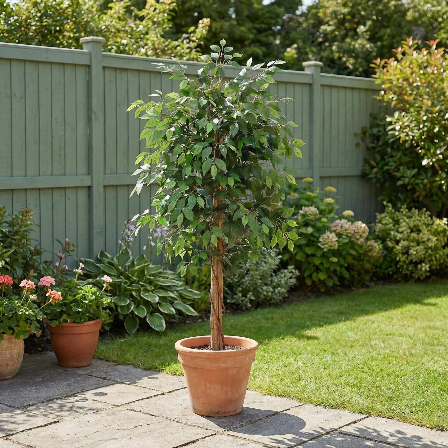 Kunstmatige Ficus Nitida 180 cm