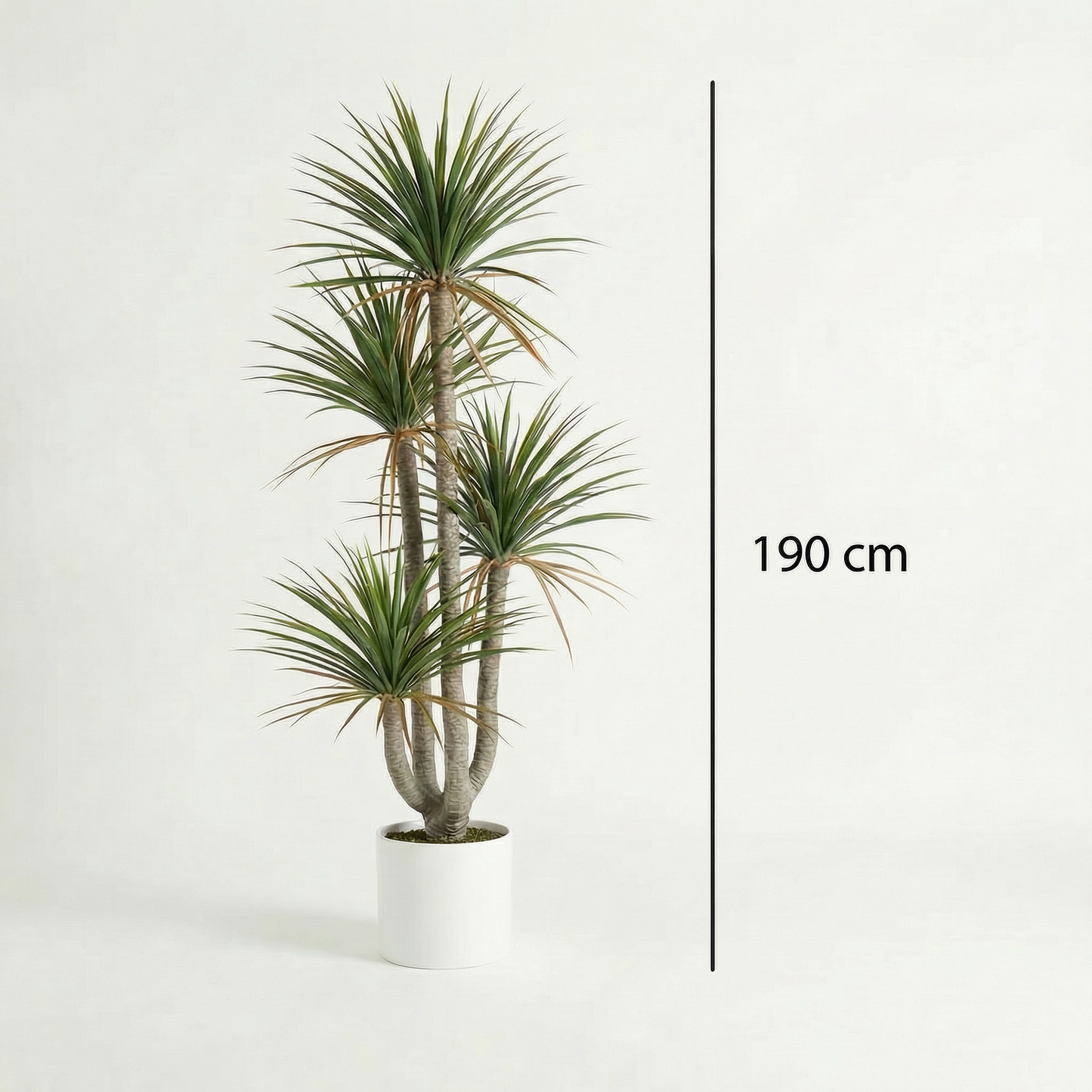 Kunstmatige Dracaena Marginata 160–230 cm