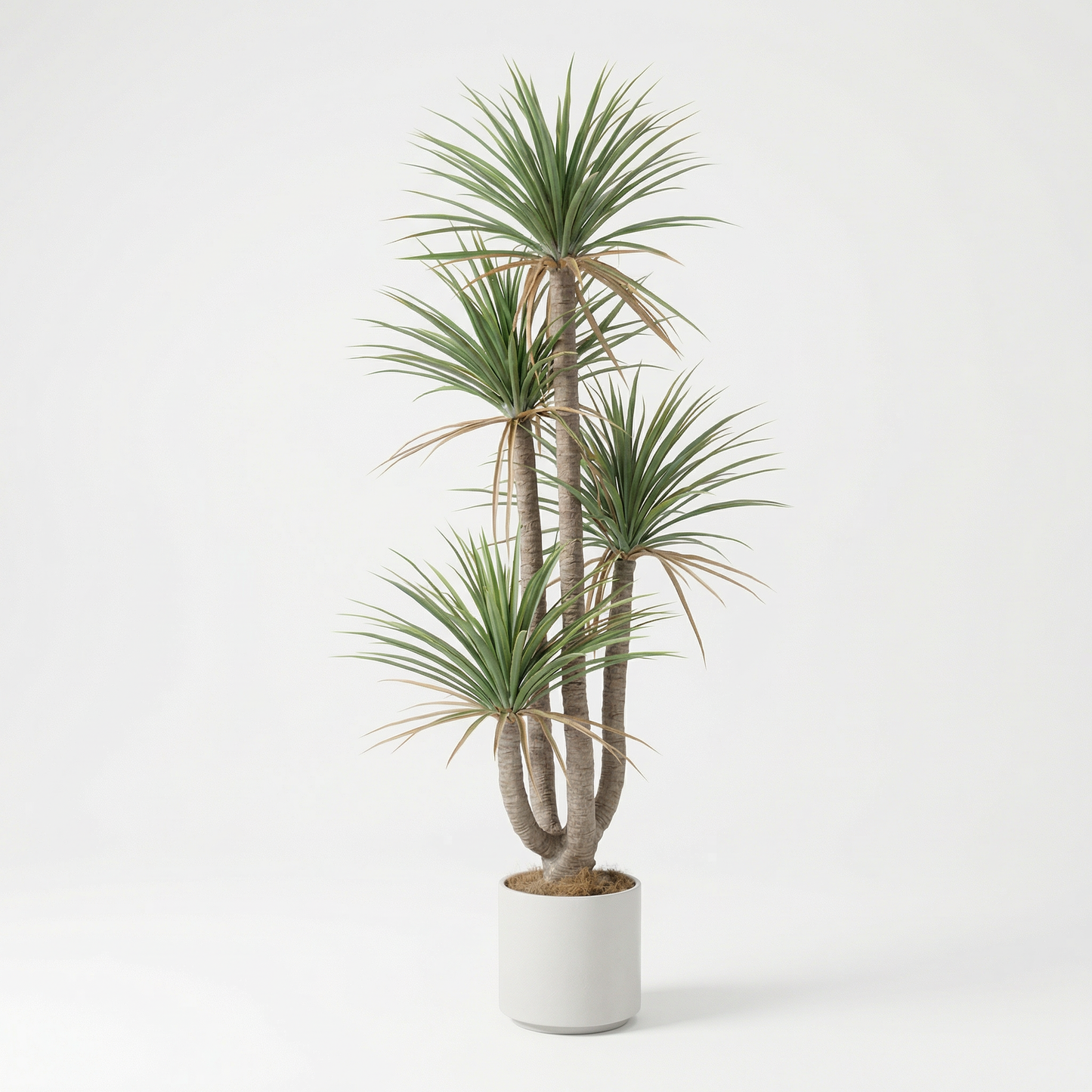 Kunstmatige Dracaena Marginata 160–230 cm
