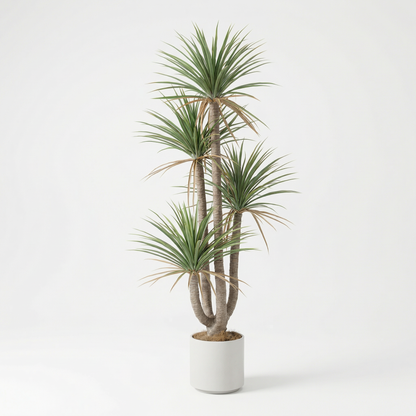 Kunstmatige Dracaena Marginata 160–230 cm