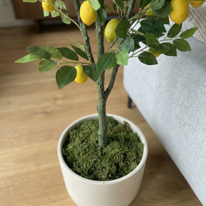 Kunstigt Citrontræ 150–180 cm