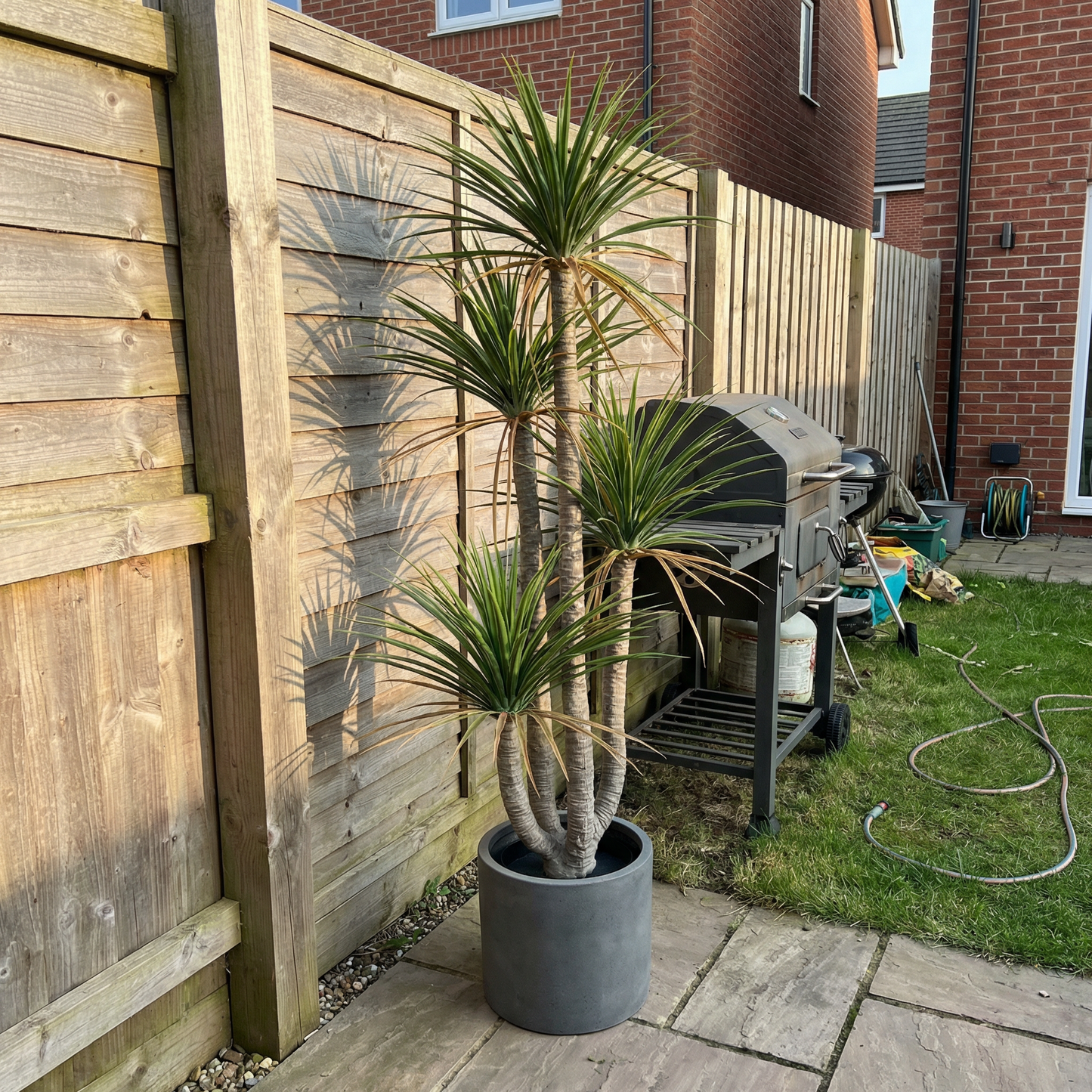 Kunstmatige Dracaena Marginata 160–230 cm