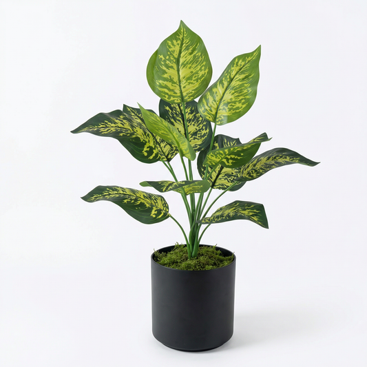 Kunstige Stilke Dieffenbachia Grøn-Gul 45 cm