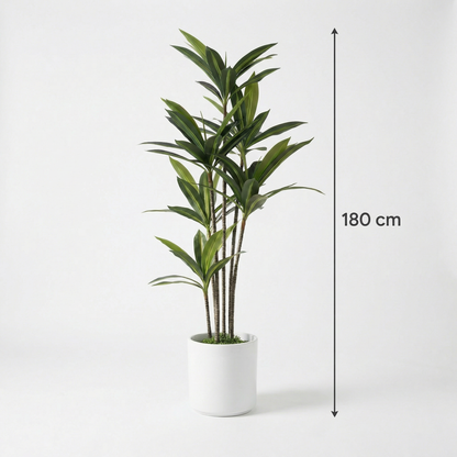 Kunstmatige Yucca Dracaena 180 cm