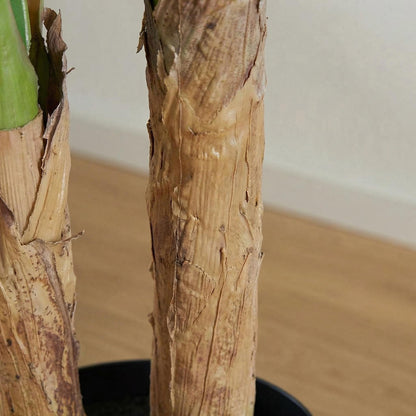 Kunstmatige bananenplanten 120 cm (set van 2)