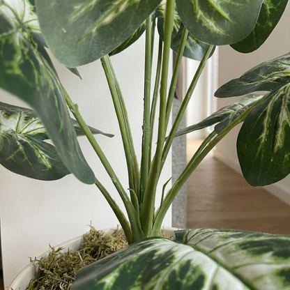 Kunstmatige Dieffenbachia-stelen groen-wit 45 cm