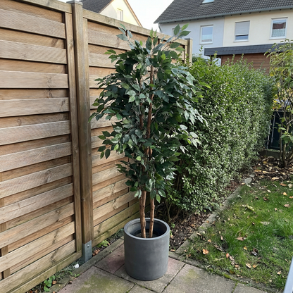 Kunstig Ficus Alii 150 cm