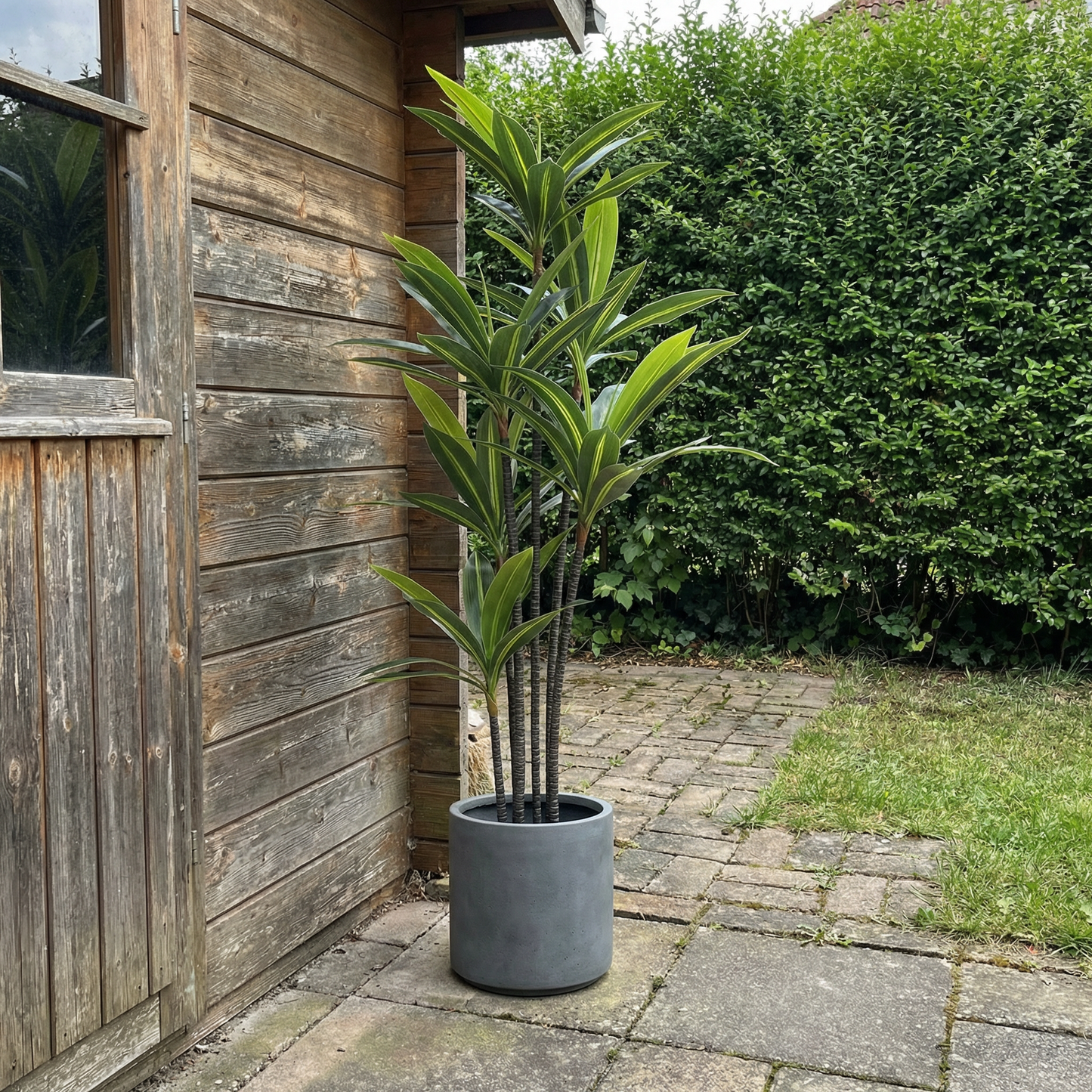 Kunstmatige Yucca Dracaena 180 cm