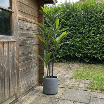 Kunstmatige Yucca Dracaena 180 cm