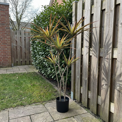 Kunstmatige stelen Dracaena Marginata 120 cm