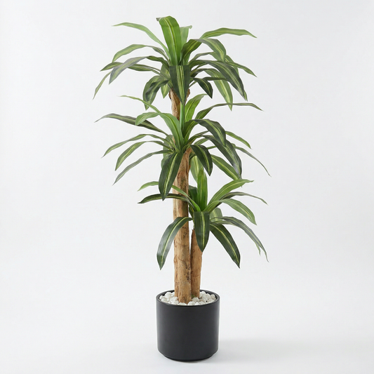 Kunstig Dracaena Massangeana 160 cm