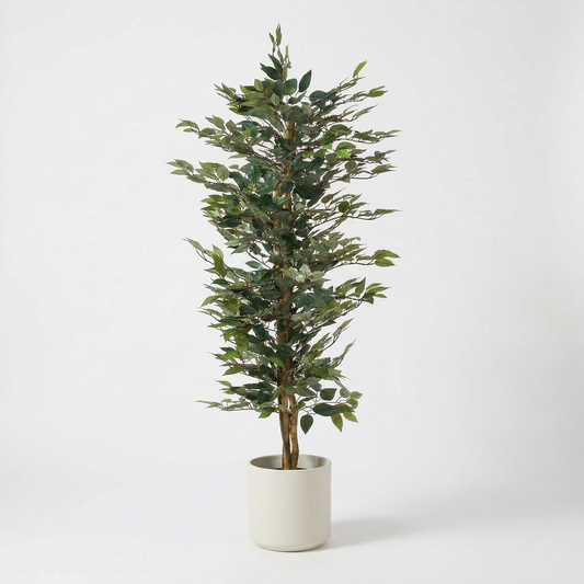 Kunstmatige Ficus Alii 150 cm