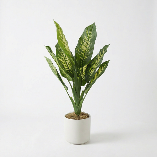 Kunstig Dieffenbachia 90 cm