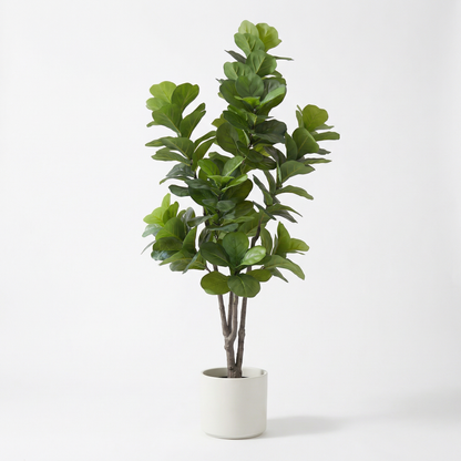 Kunstig Ficus lyrata 150–210 cm