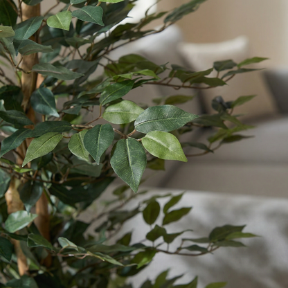 Kunstig Ficus Alii 150 cm