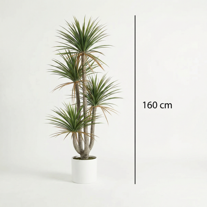 Kunstmatige Dracaena Marginata 160–230 cm