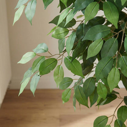 Kunstmatige Ficus Nitida 180 cm