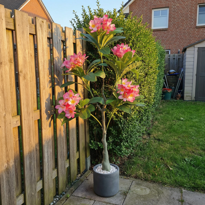 Kunstmatige Plumeria-boom Roze 120 cm met sierpot