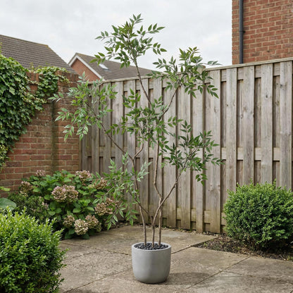 Kunstig Nandina-træ 150 cm med dekorationspotte