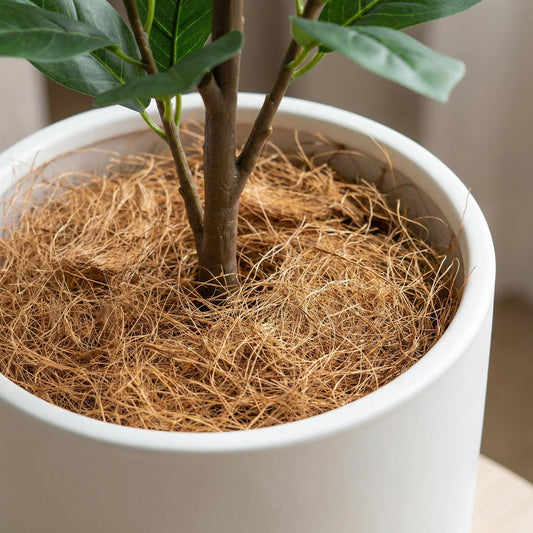 Kokosvezels als plantdecoratie