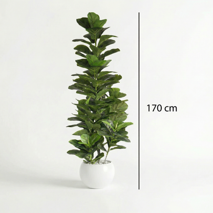 Kunstige Stængler Ficus lyrata 120–170 cm