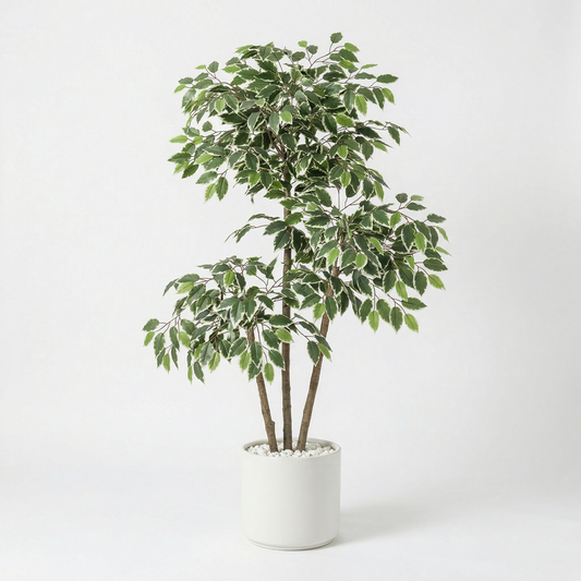 Kunstig Ficus Benjamina 150 cm med Dekorationspotte